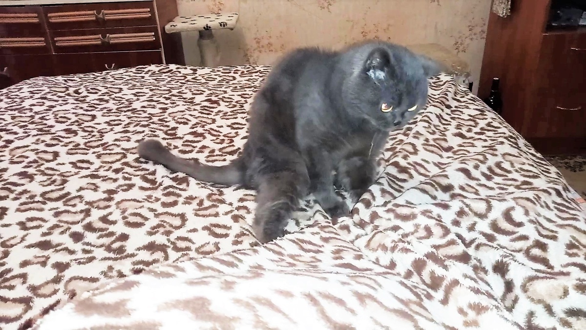 Стоп-кадр видео Марины АБРОЧНОВОЙ)