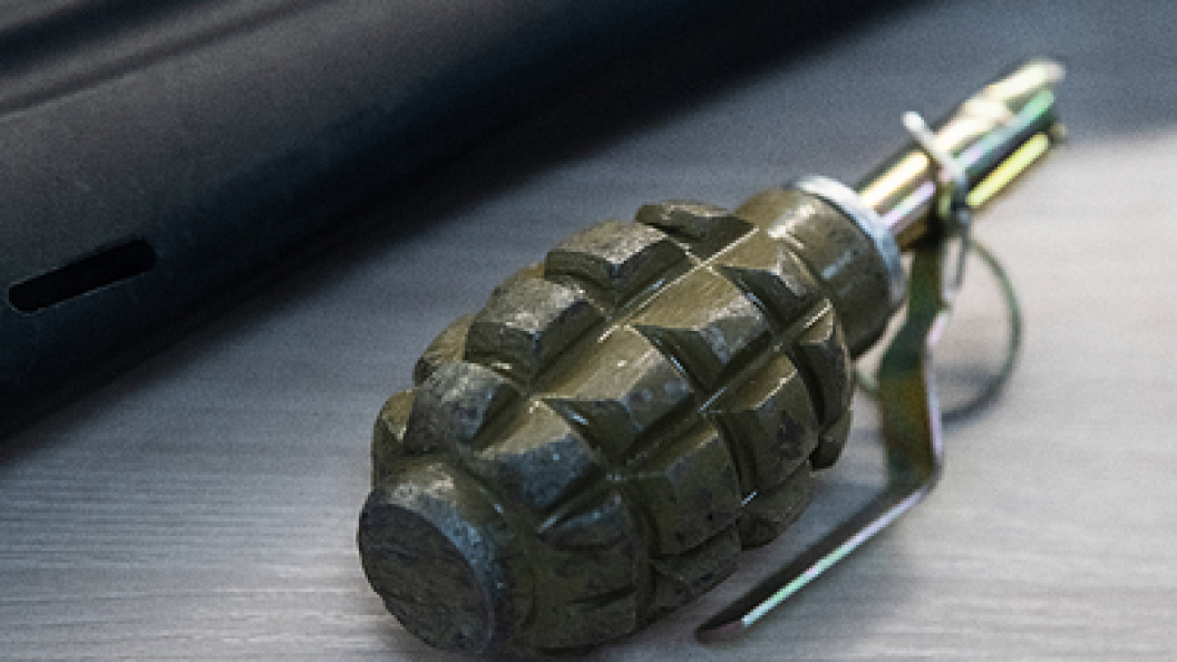    Фото: Ilya Moskovets/URA.RU/Globallookpress