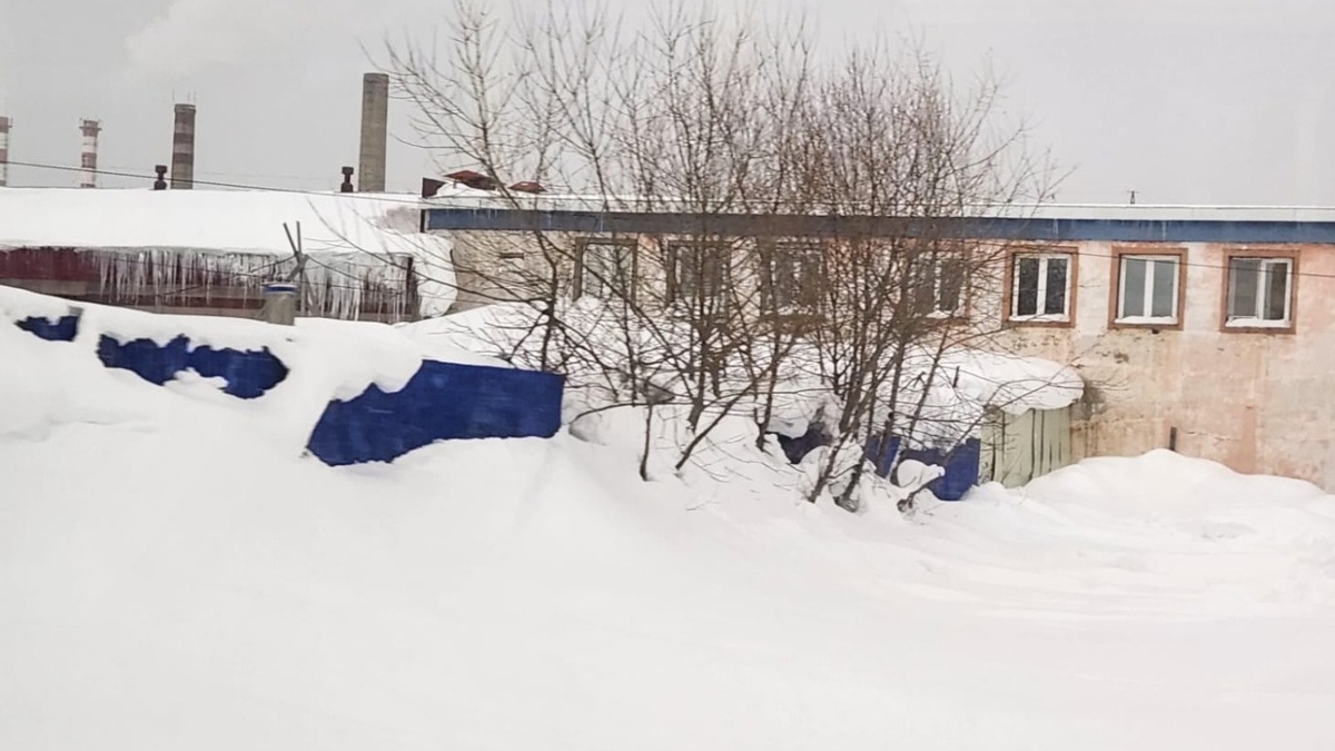     Источник: vostokmedia.com