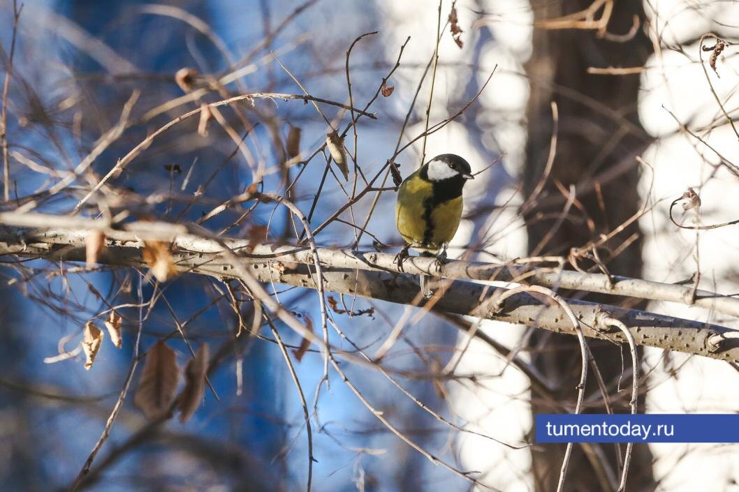  Фото Дениса Моргунова