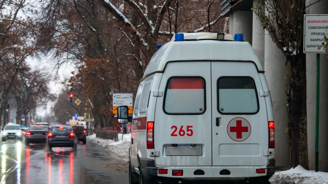    Фото: Svetlana Vozmilova/Globallookpress