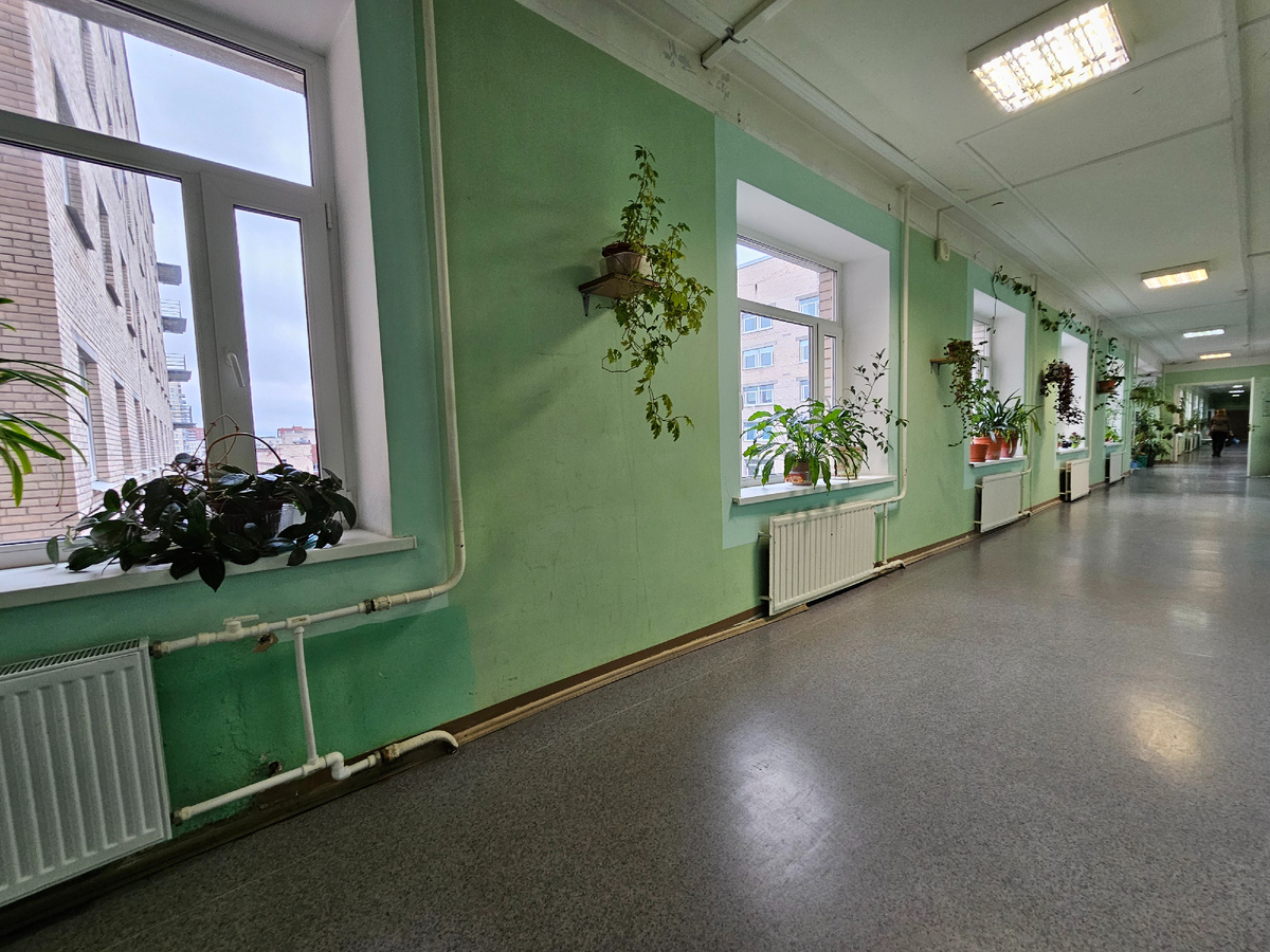 Коридор-оранжерея.