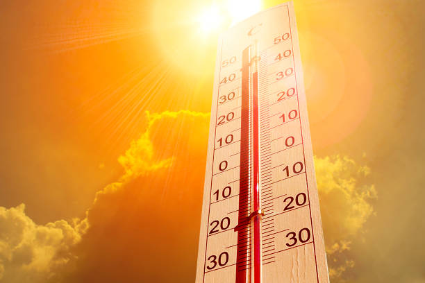 www.istockphoto.com