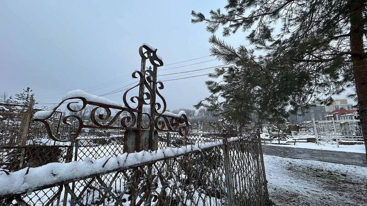    Фото: архив телеканала «Краснодар»