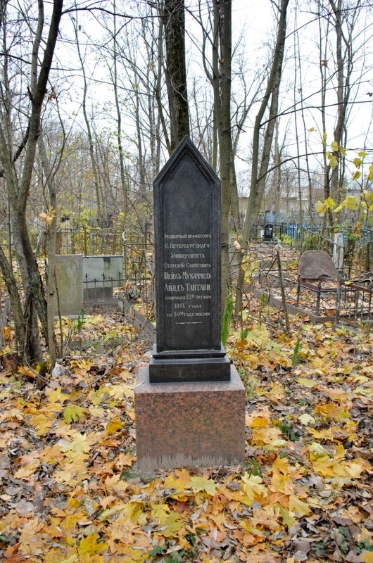 Могила шейха Мухаммада ат-Тантави / Источник: rustam-bikbov.livejournal.com