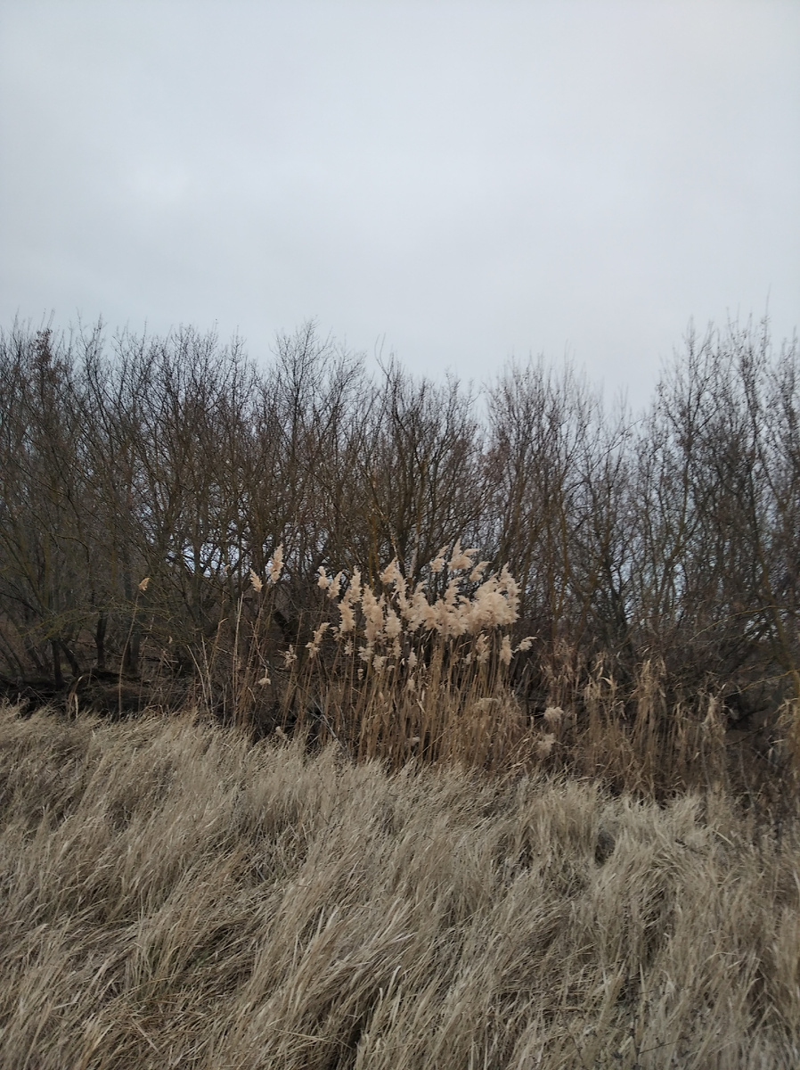 По пути к канаве.