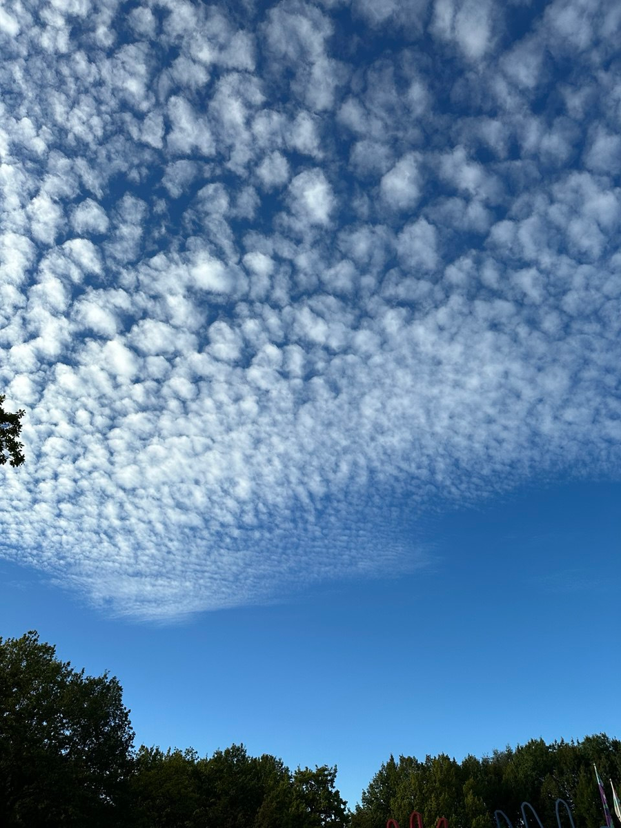 Обратите внимание на котур крон деревьев. Если по ним (по верхушкам) провести линию, получится нейролиния, которая не повторяет саму себя на каждом участке движения. С облаками тоже самое.