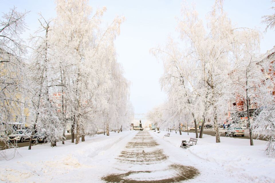    Погода. Зима. Снег.. Источник: Виталий Барабаш