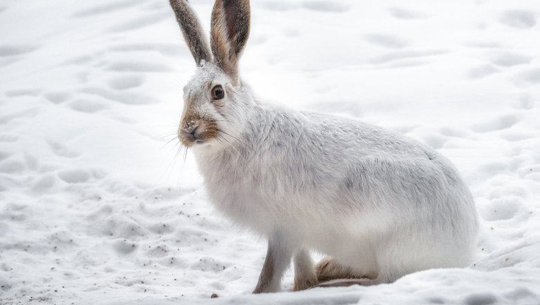 Источник: Freepik