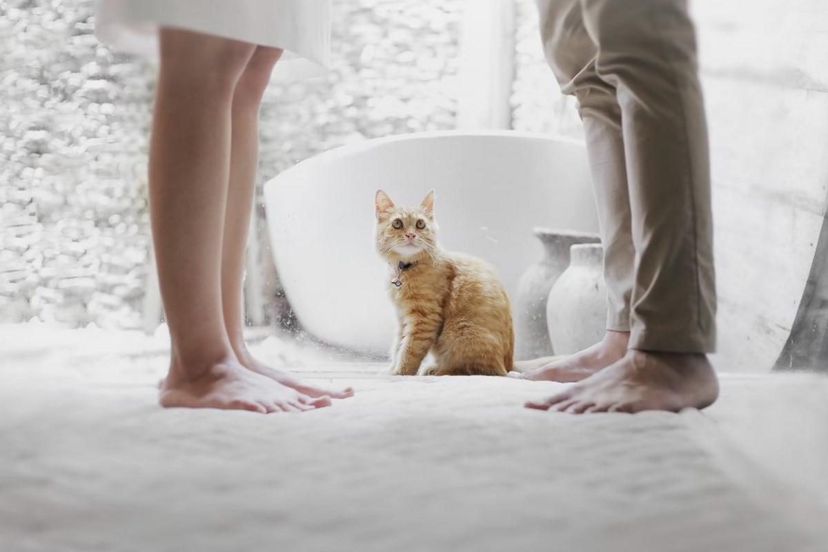     Учёные выяснили, кто хуже переносит разрыв — мужчины или женщины