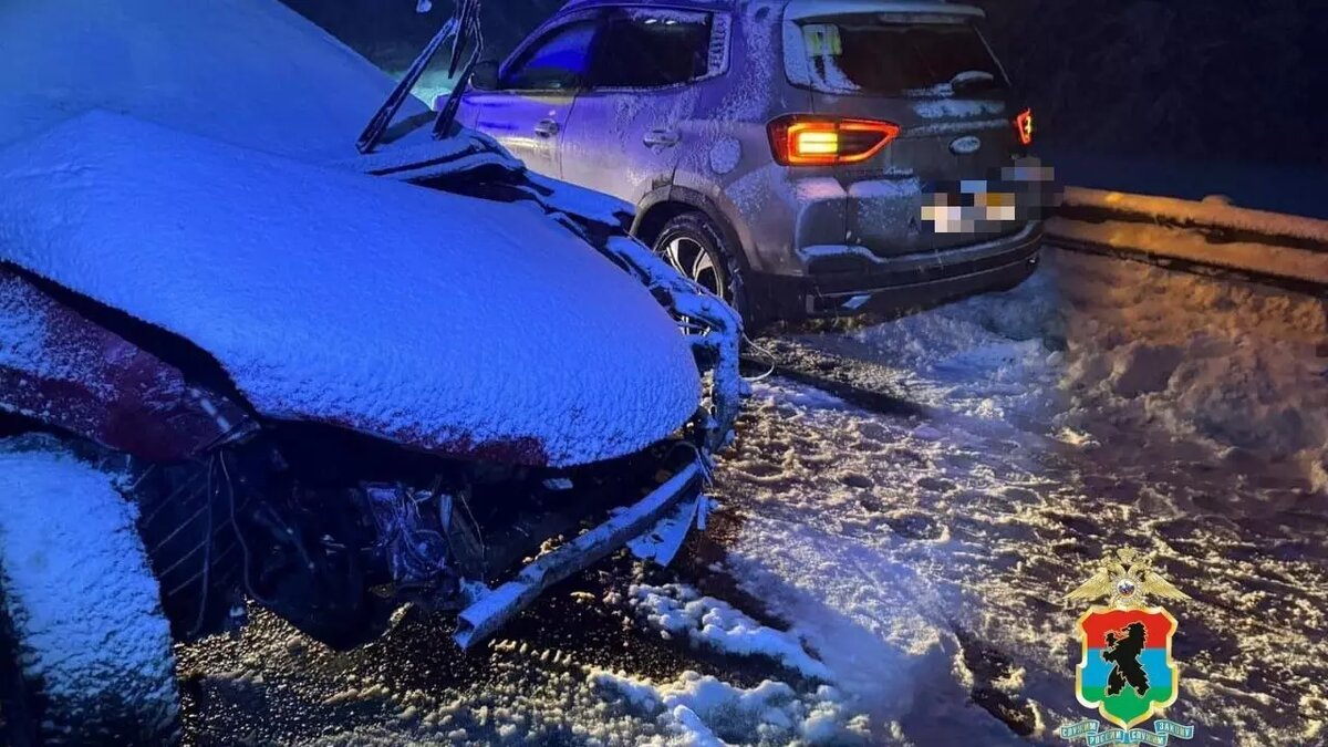     Источник: Госавтоинспекция Карелии / vk