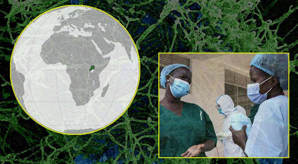   N + 1; NIAID; WHO; Marcos Elias de Oliveira Júnior / Wikimedia Commons / Public Domain