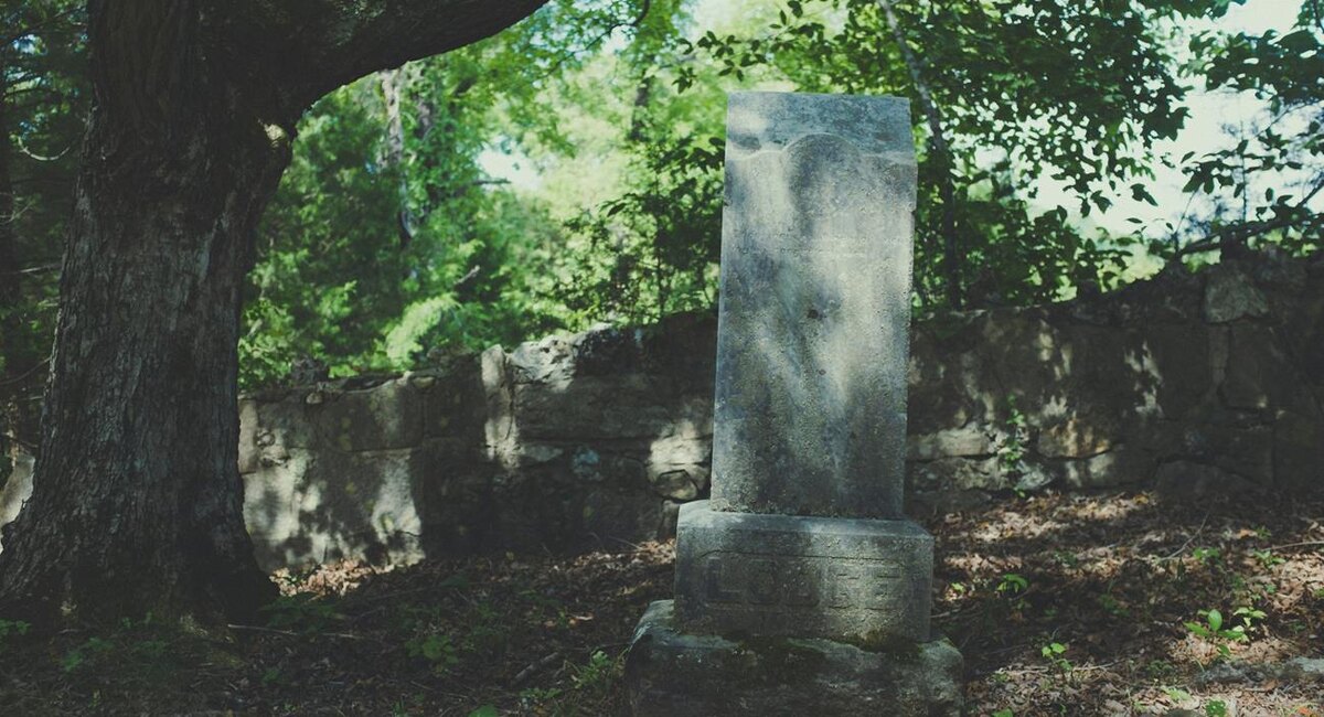 Фото: Kenny Eliason / Unsplash