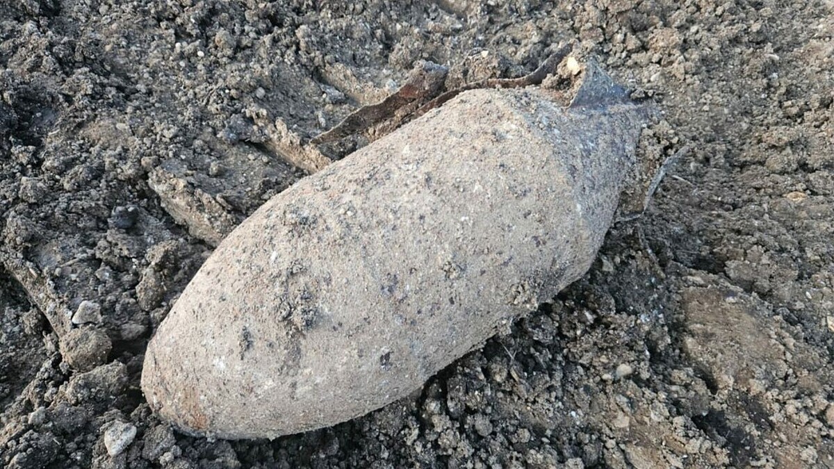    Фото: t.me/rosgvard_krasnodar