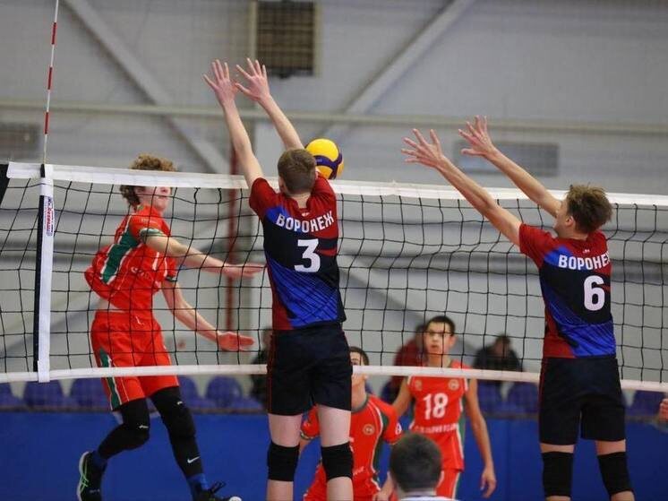     Источник: ДоброНовости Воронеж