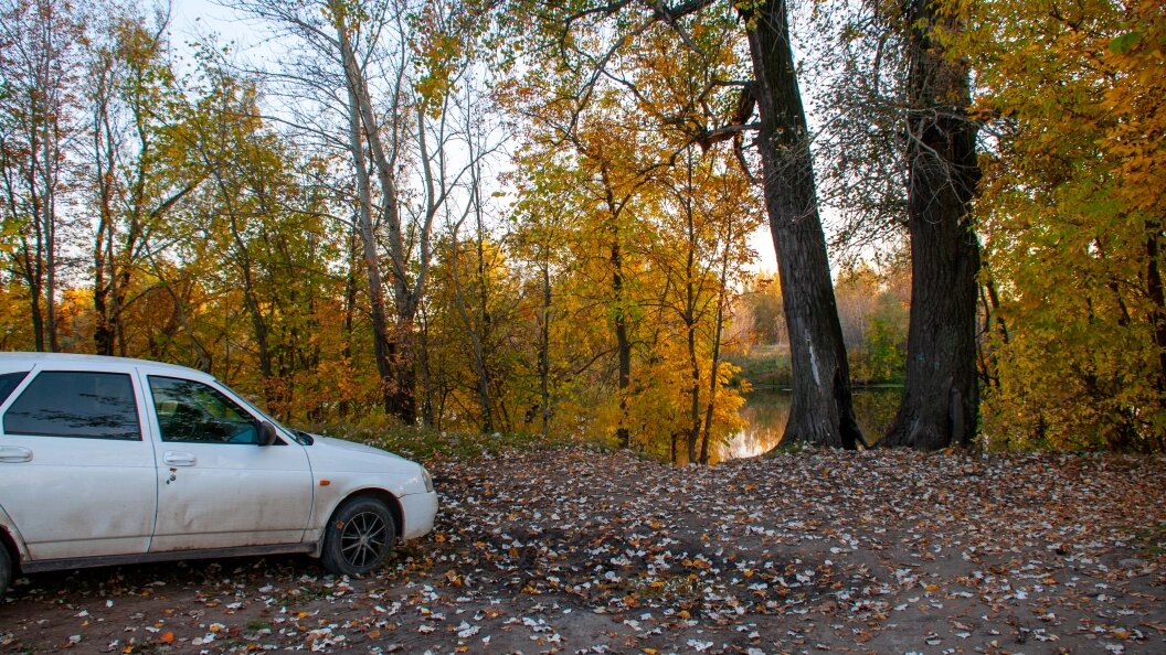    фото: Svetlana Vozmilova//Globallookpress