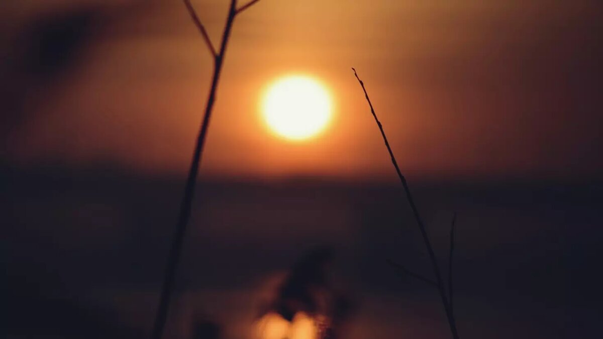     Автор: Unsplash