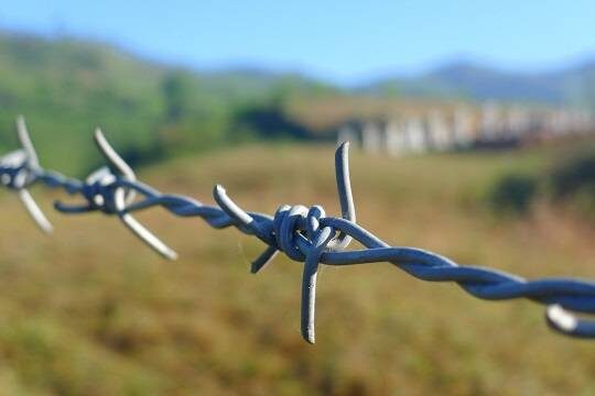    Активисты рассказали о бедственном положении нелегалов на белорусско-польской границе