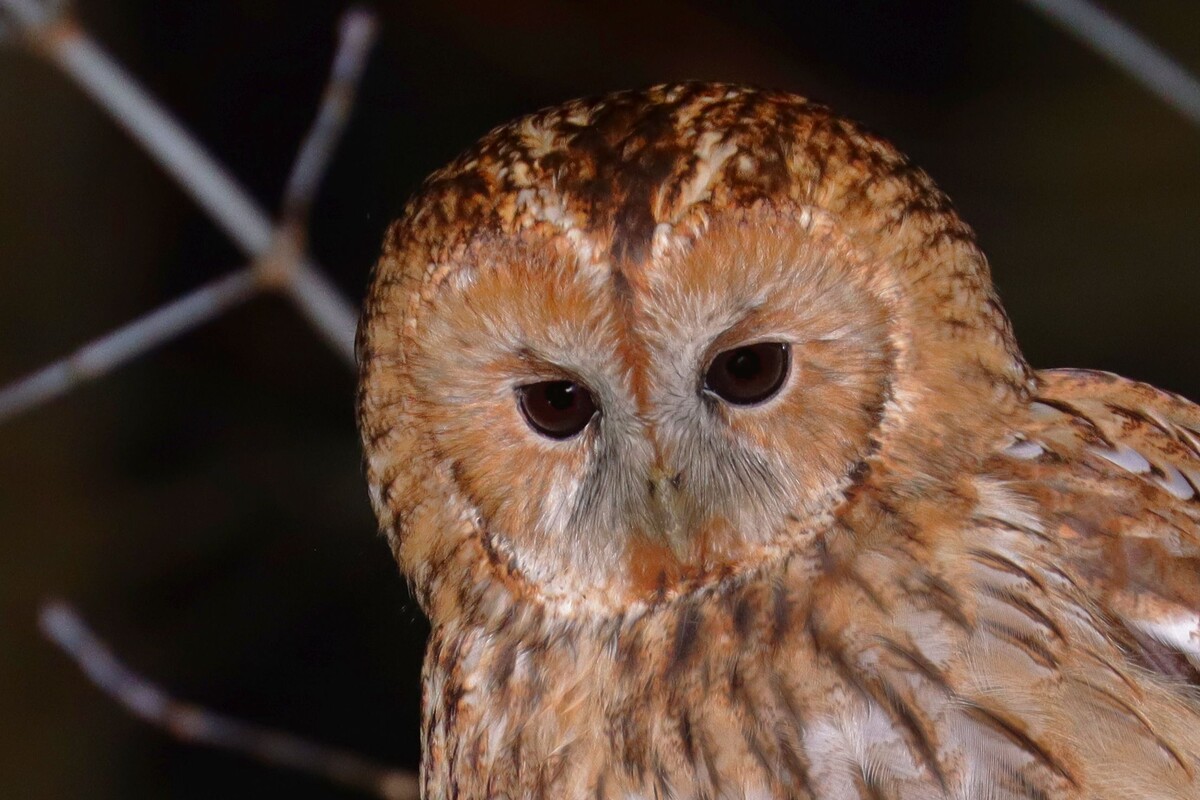 Ну классный же!?