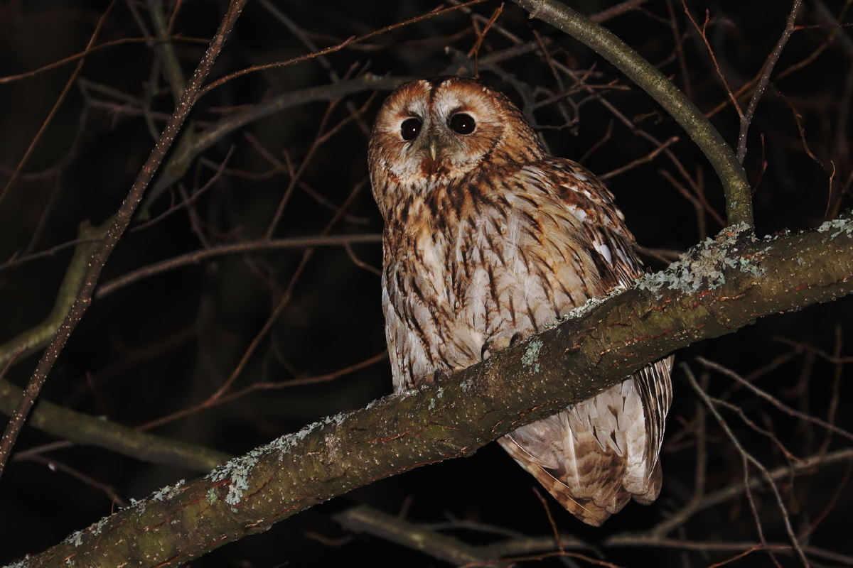 Сидит, надулся