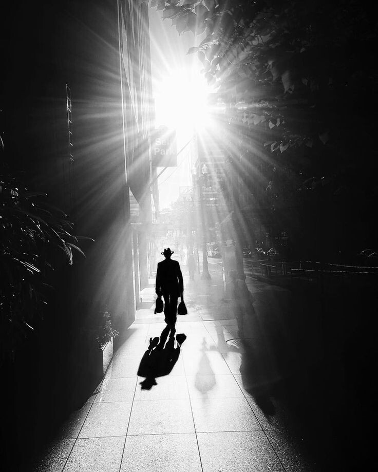 Тема работы с тенью крайне популярна