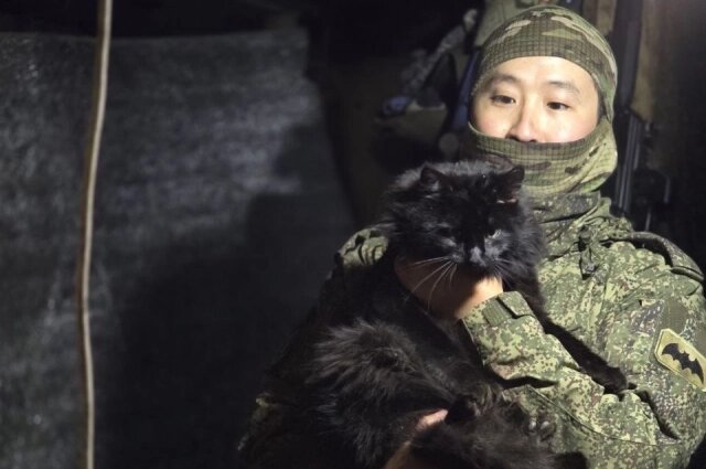    Кот по имени Бурят стал всеобщим любимцем на передовой. Фото: Телеграм-канал Петра Шамаева