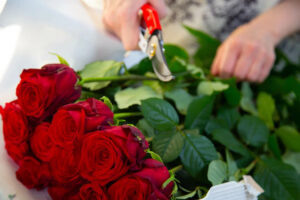    Фото: Общественная Служба Новостей Мария Михайловская