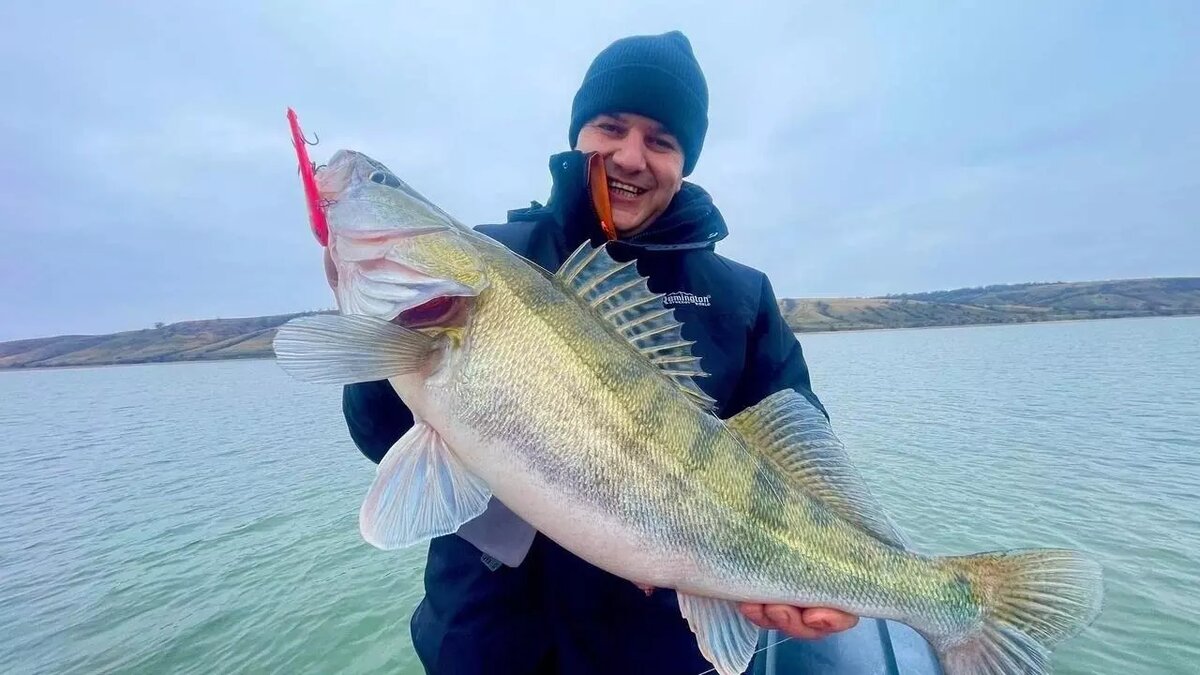     Источник: Антон Стволин