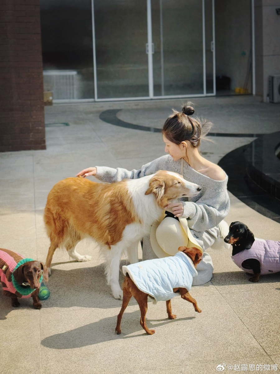 Фото Чжао Лу Сы 