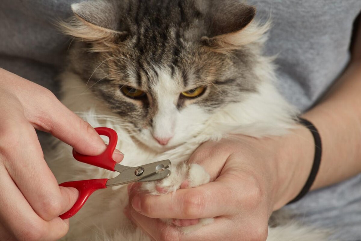     123RF/legion-media.ru