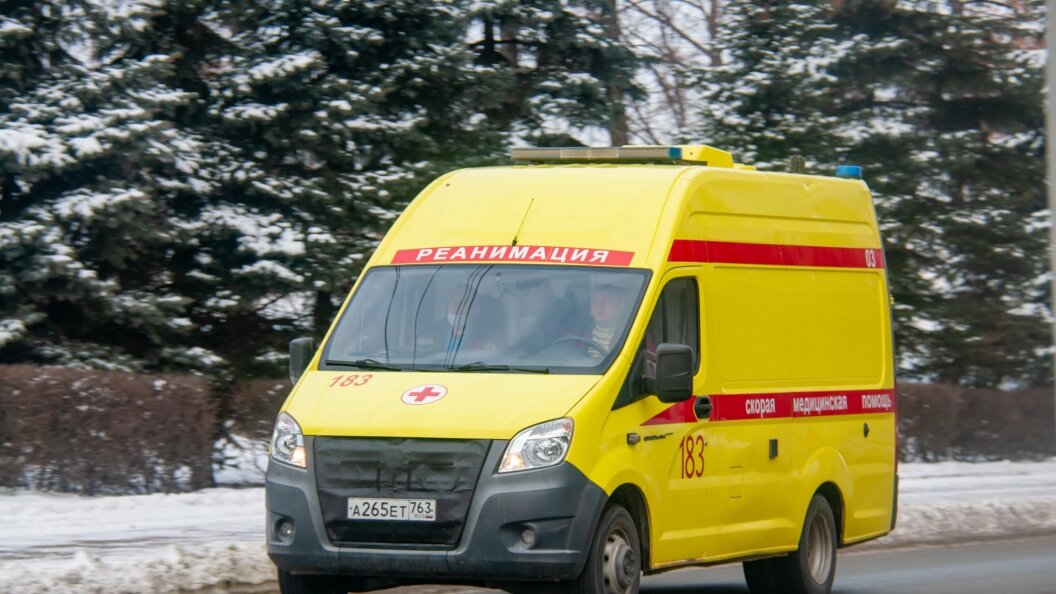    © Svetlana Vozmilova/Globallookpress