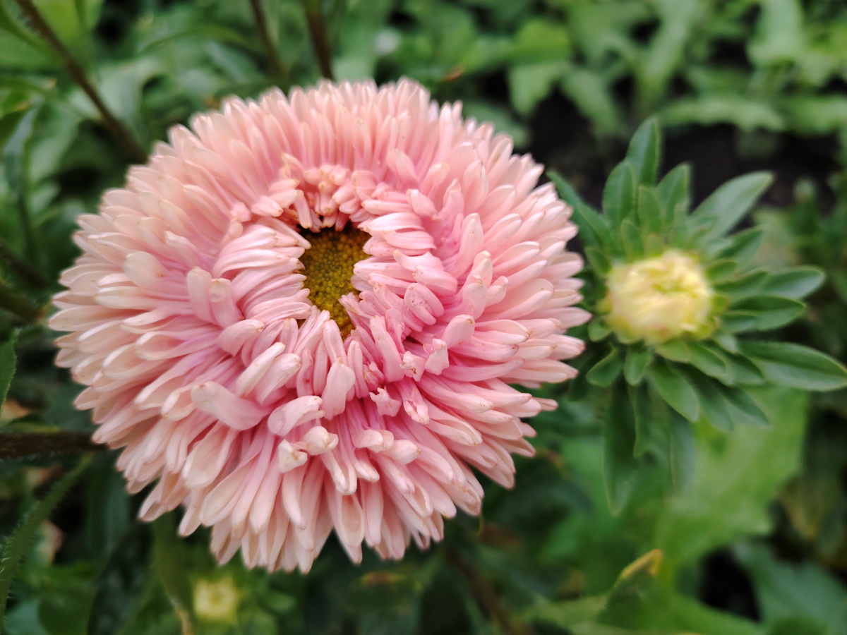 Следы тех самых кардинальных изменений