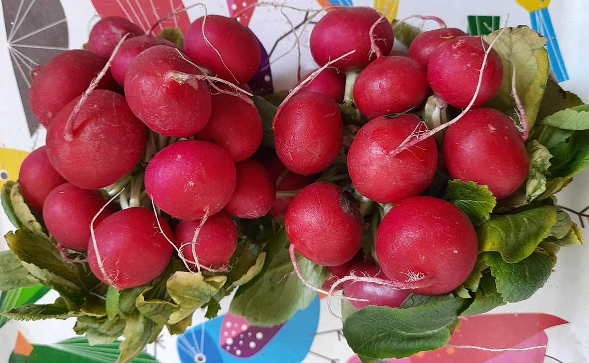 Все фотографии в статье мои