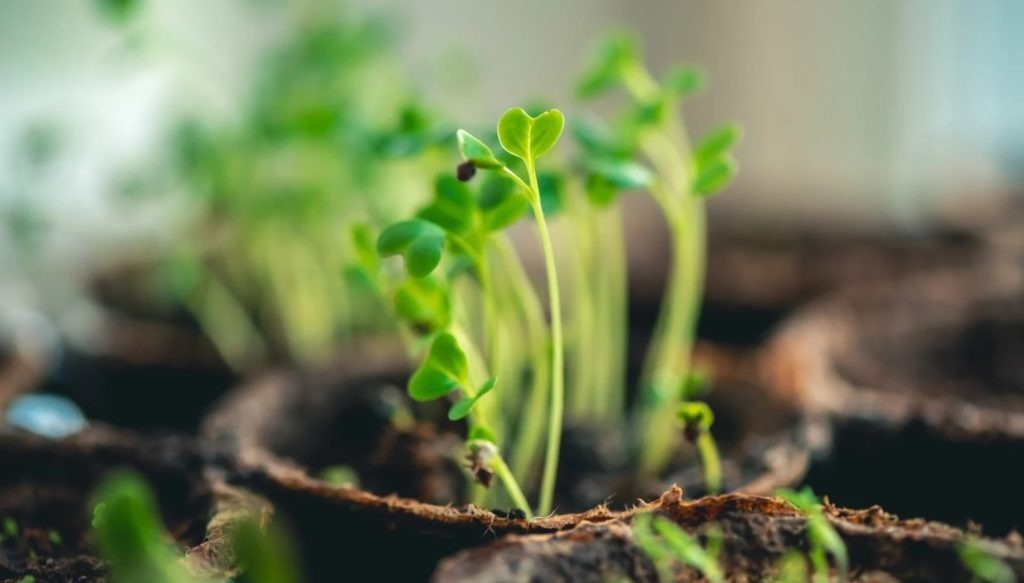 Фото из архива