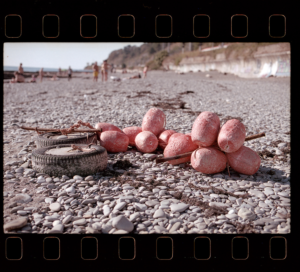 Наверное это какая-то болезнь - непреодолимая тягая фотографировать всякий хлам выносимый морем после шторма... У меня таких сюжетов немало, надо будет сделать отдельную подборку)