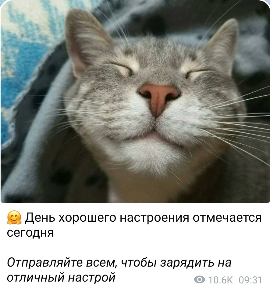 Желаю всем хорошего настроения, несмотря ни на что