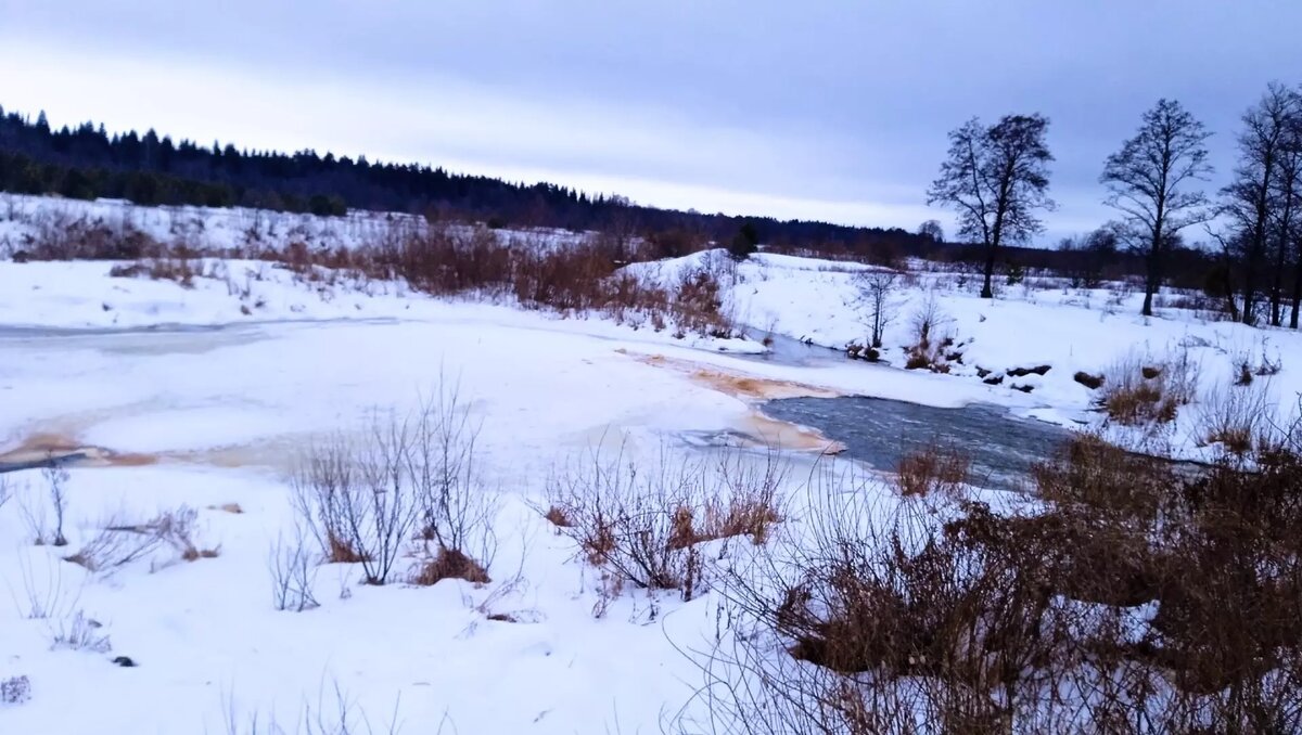     Автор: Сергей Шарапов Источник: udm-info.ru