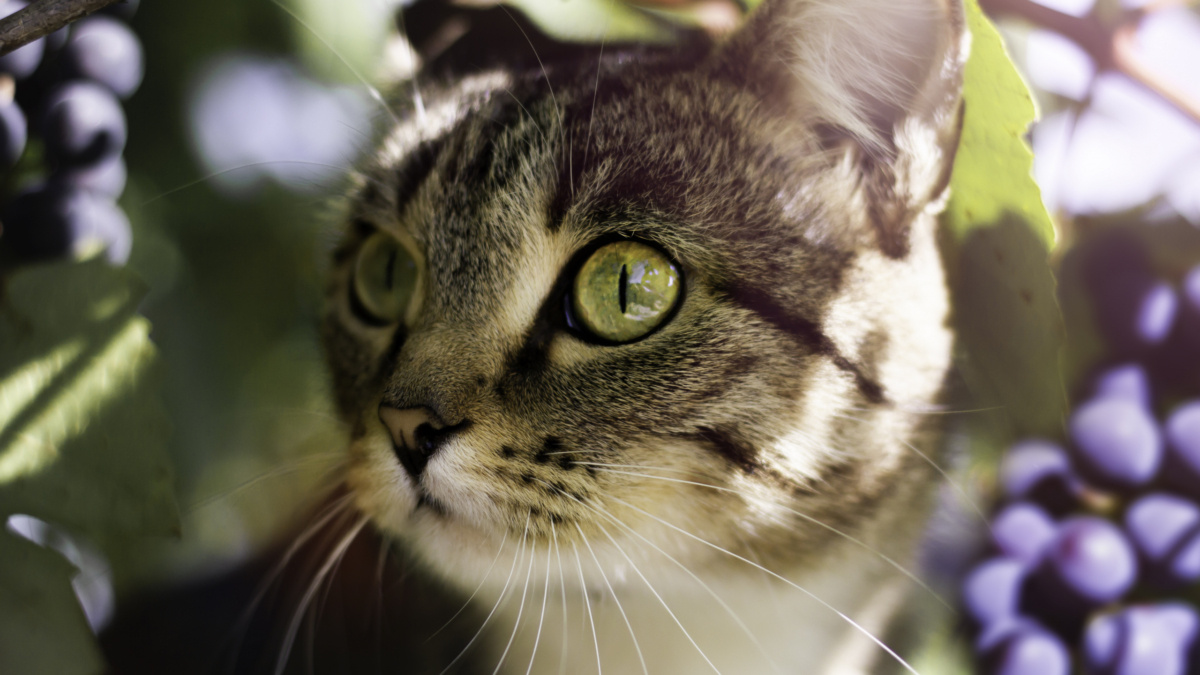 ООО «СДК»📷
