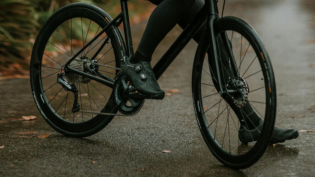    Фото: unsplash.com