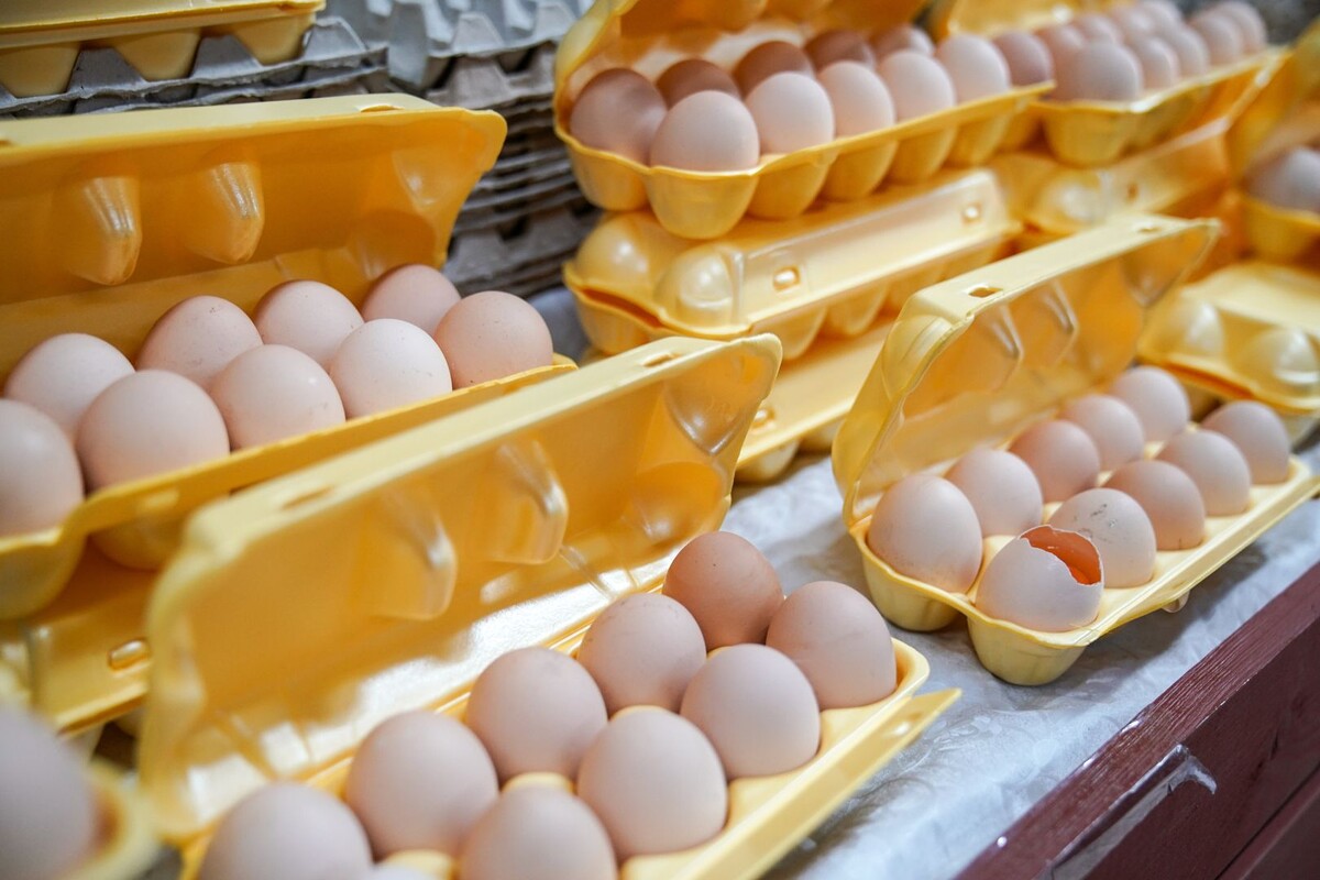     / Источник: © ИЗВЕСТИЯ/Сергей Лантюхов