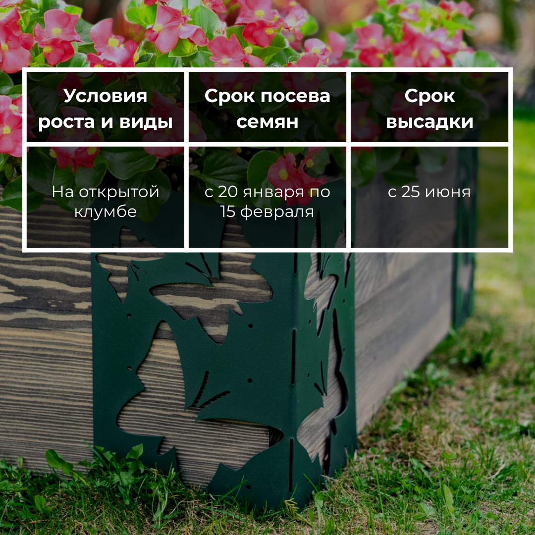 Крепление для грядок: https://www.wildberries.ru/catalog/219895110/detail.aspx