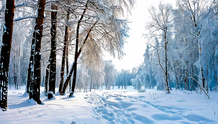 "Тимофеевский мороз ползимы с собой унес". Фото: shedevrum.ai