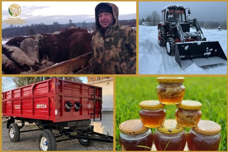    Северное картофелеводство и другие проекты реализуют агростартаперы в Коми