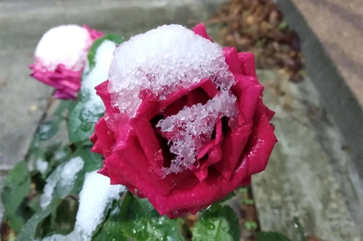    На Крым надвигаются снегопад и ветер до 20 метров в секунду