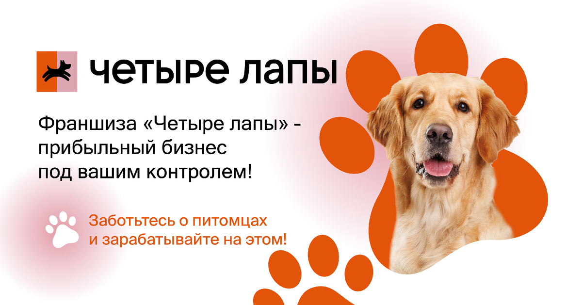 Франшиза «Четыре Лапы»