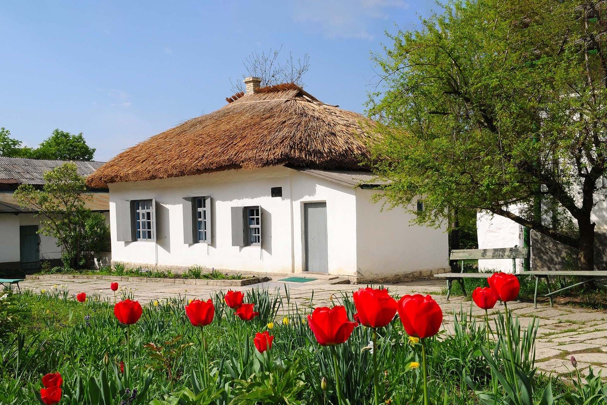 Изображение из открытых источников