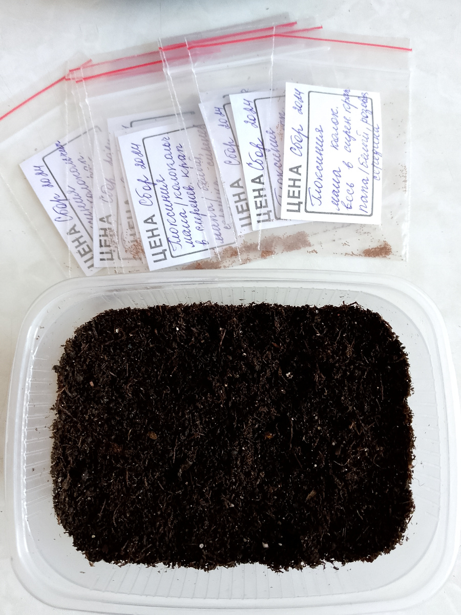 Ещё неизвестно, когда и как взойдут сеянцы