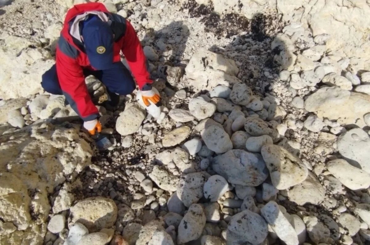    В наличии мазутные выбросы неясной давности, но что с ними делать — большой вопрос.