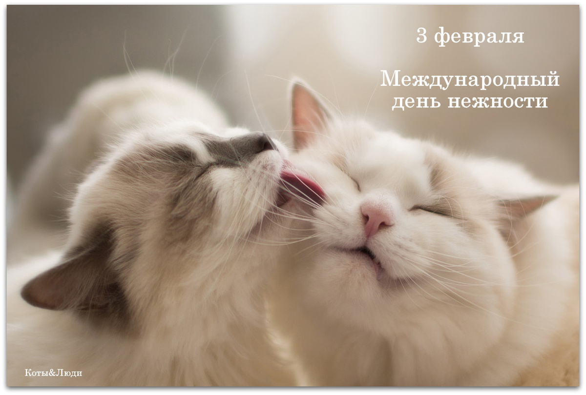 Коллаж автора