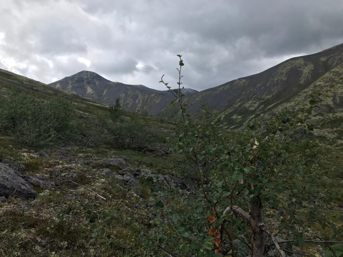 Фото Илья Р.